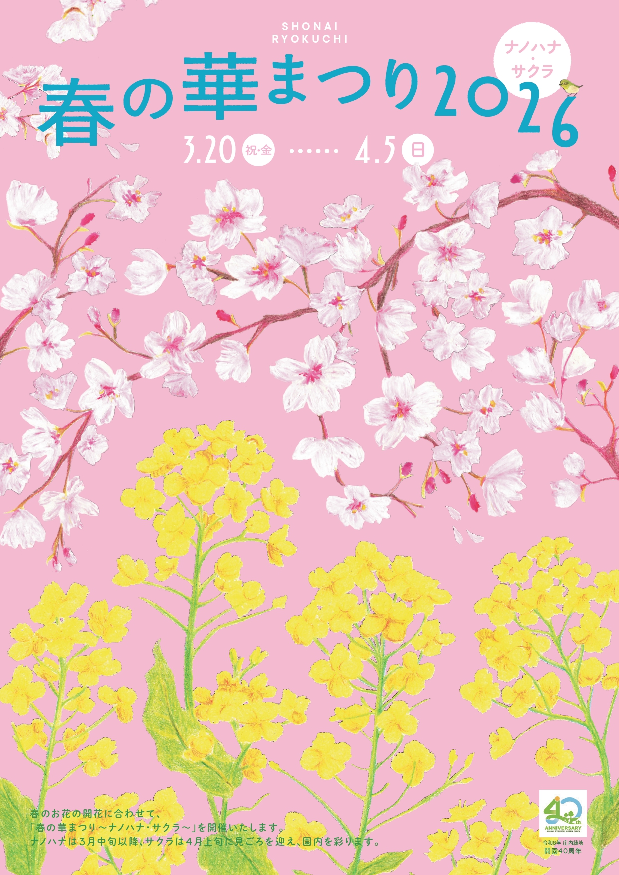 3/20～4/5　庄内緑地　春の華まつり～ナノハナ・サクラ～①